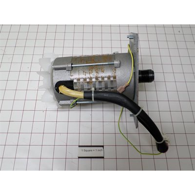 MOTOR AND IMPELLOR