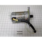 MOTOR AND IMPELLOR