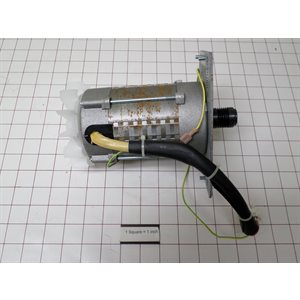 MOTOR AND IMPELLOR
