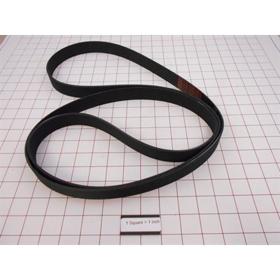 12 RIB BELT 95 IN