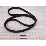 12 RIB BELT 95 IN