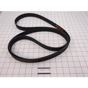 12 RIB BELT 95 IN