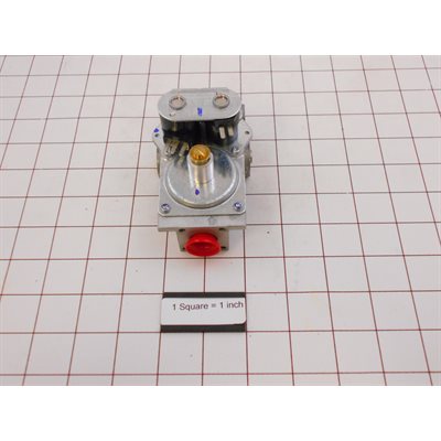 HI CAP GAS VALVE FOR ES (ECO SMART)