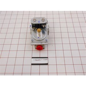 HI CAP GAS VALVE FOR ES (ECO SMART)