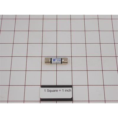 FUSE,F1 (GAS HEAT)