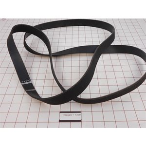 BELT,EXSM 230C / S (FLAT)