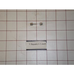 FUSE,2.5A / 250V