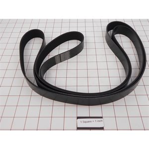 BELT,POLY-V 105.5" PKG
