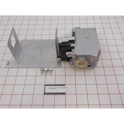 NG VALVE BURNER DSI ASSY