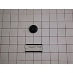 DIAPHRAGM