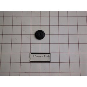 DIAPHRAGM