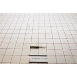 LAMPS 220V