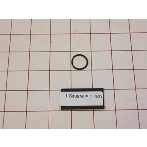 O-RING,SPRAY RINSE